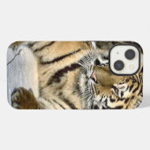Tiger Lovers iPhone Hülle (Rückseite (Horizontal))
