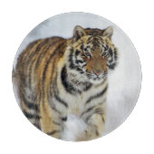 Tiger Lovers Kunst Schneidebrett (Vorderseite)