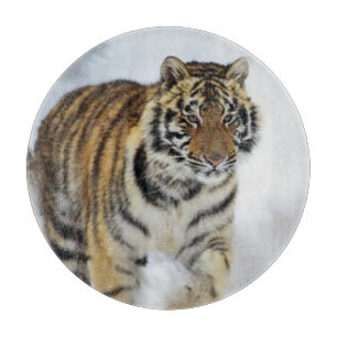 Tiger Lovers Kunst Schneidebrett