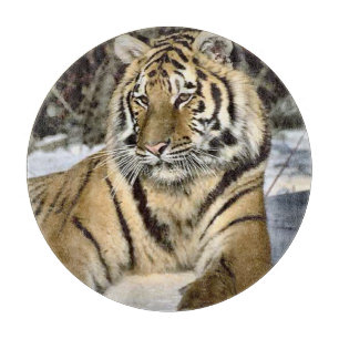 Tiger Lovers Kunst Schneidebrett