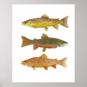 Tiger machen poster (Vorne)