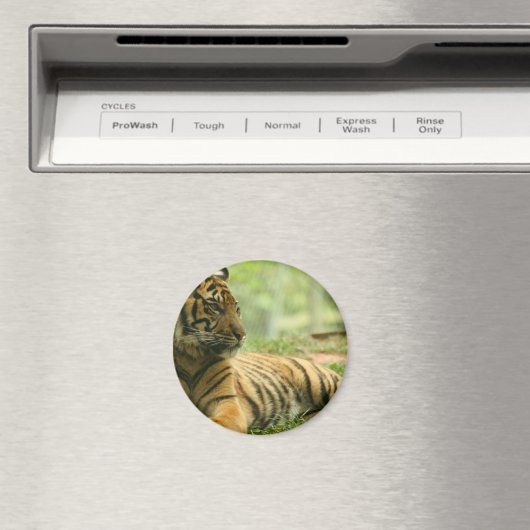 Tiger Magnet (In Situ (Geschirrspüler))