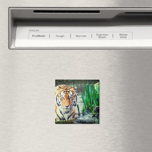Tiger Magnet (In Situ (Geschirrspüler))