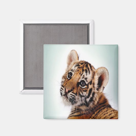 Tiger Magnet (Vorderseite/Rückseite)
