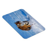 Tiger Magnet (Rechte Seite)