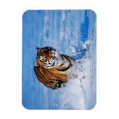 Tiger Magnet (Vertikal)