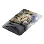 Tiger Magnet (Linke Seite)