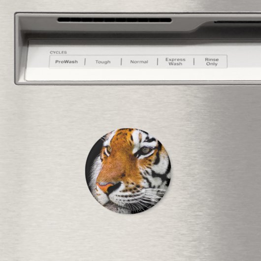 Tiger Magnet (In Situ (Geschirrspüler))