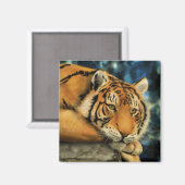 Tiger Magnet (Vorderseite/Rückseite)