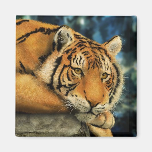 Tiger Magnet (Vorne)