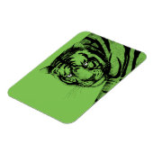 TIGER MAGNET (Linke Seite)