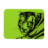 TIGER MAGNET (Horizontal)