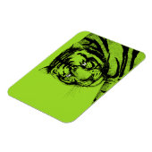 TIGER MAGNET (Linke Seite)