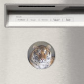 Tiger Magnet (In Situ (Geschirrspüler))
