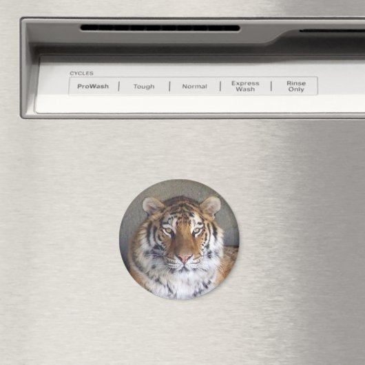 Tiger Magnet (In Situ (Geschirrspüler))