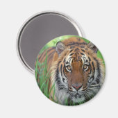 Tiger Magnet (Vorderseite/Rückseite)