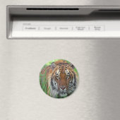 Tiger Magnet (In Situ (Geschirrspüler))