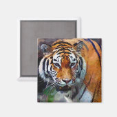 Tiger Magnet (Vorderseite/Rückseite)