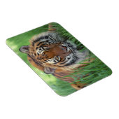 Tiger Magnet (Rechte Seite)