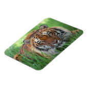 Tiger Magnet (Linke Seite)