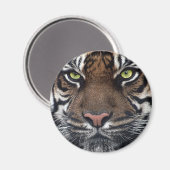Tiger Magnet (Vorderseite/Rückseite)