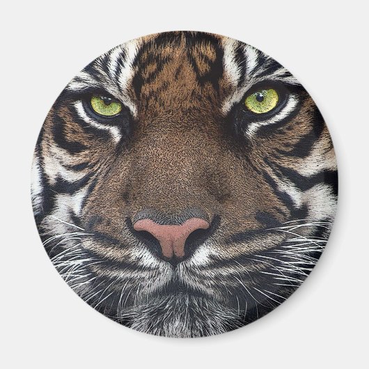 Tiger Magnet (Vorne)