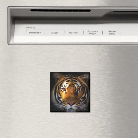 Tiger Magnet (In Situ (Geschirrspüler))
