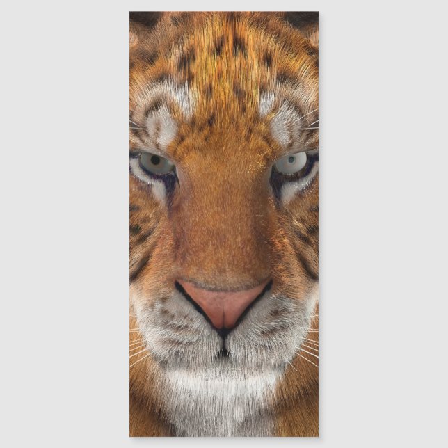 Tiger Magnetkarte (Vorderseite)