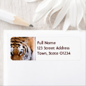 Tiger Markings Mailing Labels (Insitu)