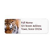 Tiger Markings Mailing Labels (Vorne)