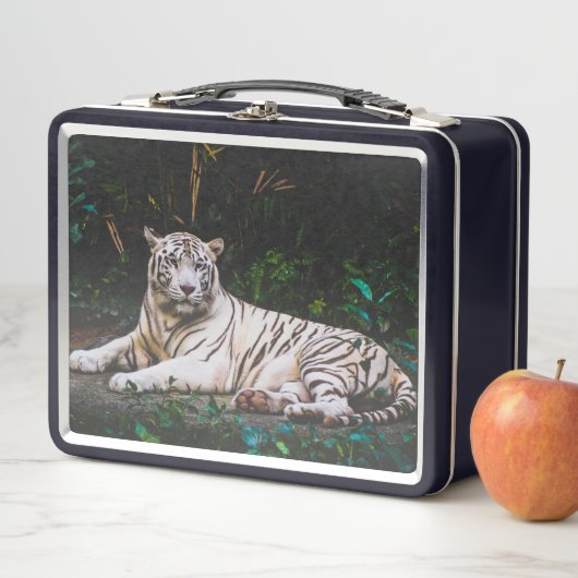Tiger Metal Lunch Box (Beispiel)