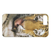 Tiger Michigan Zoo Case-Mate iPhone Hülle (Rückseite (Horizontal))