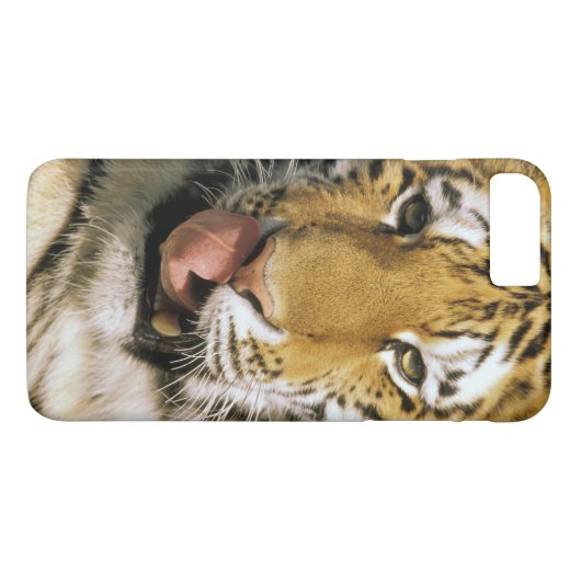 Tiger Michigan Zoo Case-Mate iPhone Hülle (Rückseite (Horizontal))