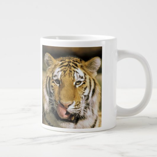 Tiger Michigan Zoo Jumbo-Tasse (Rechts)