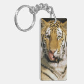 Tiger Michigan Zoo Schlüsselanhänger (Vorderseite links)