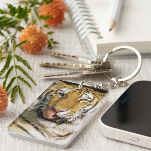 Tiger Michigan Zoo Schlüsselanhänger (Vorderseite rechts)