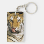 Tiger Michigan Zoo Schlüsselanhänger (Rückseite)