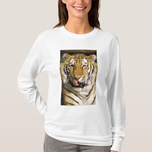 Tiger Michigan Zoo T-Shirt (Vorderseite)