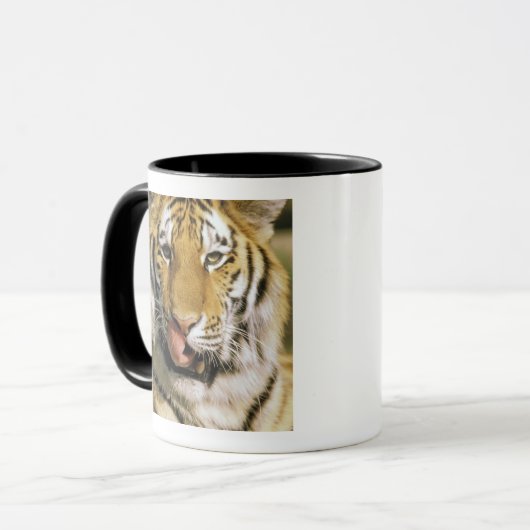 Tiger Michigan Zoo Tasse (Vorderseite Links)