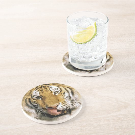 Tiger Michigan Zoo Untersetzer (Seite)