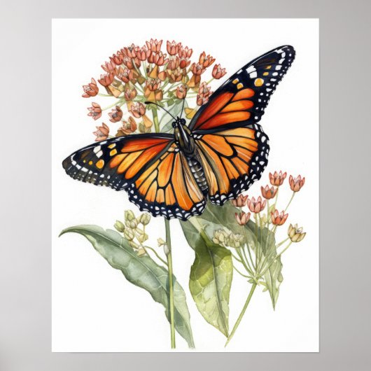 Tiger Milkweed Butterfly Art Print Poster (Vorne)