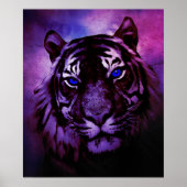 Tiger mit blauen Augen auf Lila Hintergrund Poster (Vorne)