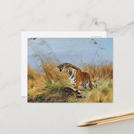 Tiger mit ermordetem Waterbuck von Richard Friese Postkarte (Vorderseite/Rückseite Beispiel)