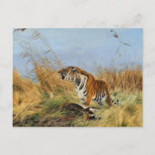 Tiger mit ermordetem Waterbuck von Richard Friese Postkarte (Vorderseite)