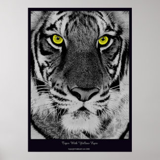 Tiger mit gelben Augen Poster