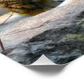 Tiger mit Jungtier Poster (Ecke)