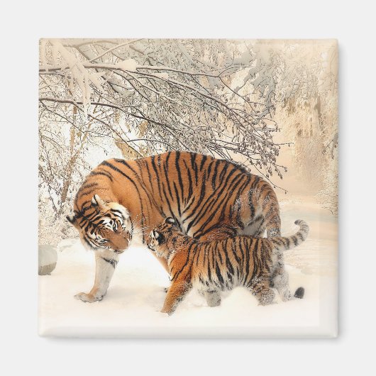 Tiger mit Kuh im Winter Schnee Magnet (Vorne)