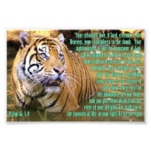 Tiger mit Psalm 36:5-9 Fotodruck (Vorne)