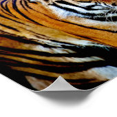 Tiger mit schwarzem Hintergrund Poster (Ecke)