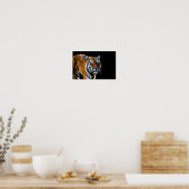 Tiger mit schwarzem Hintergrund Poster (Küche)
